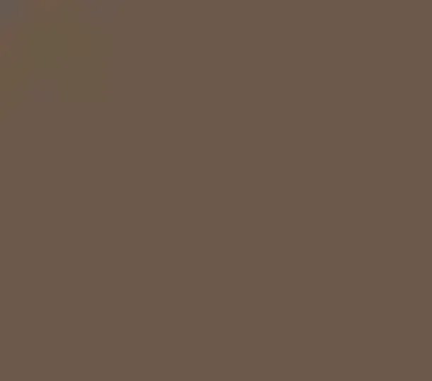 Chocolate Painted