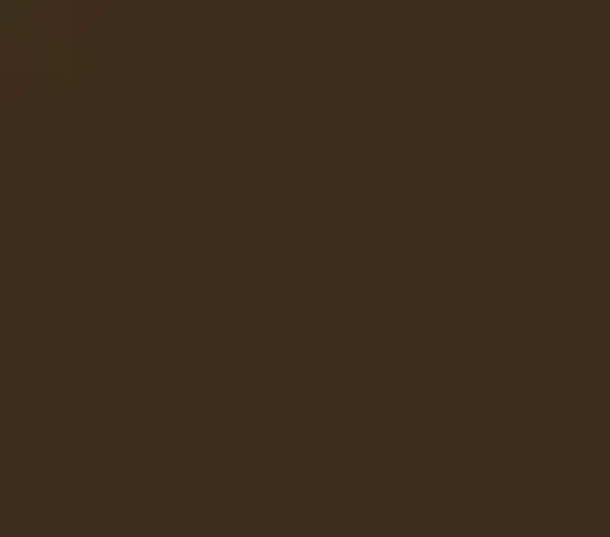 Bronze Anodized
